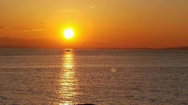 🌳 사카이 센보쿠 시오미 부영 공원 (후에이 사카이센보쿠 시오미 코엔)